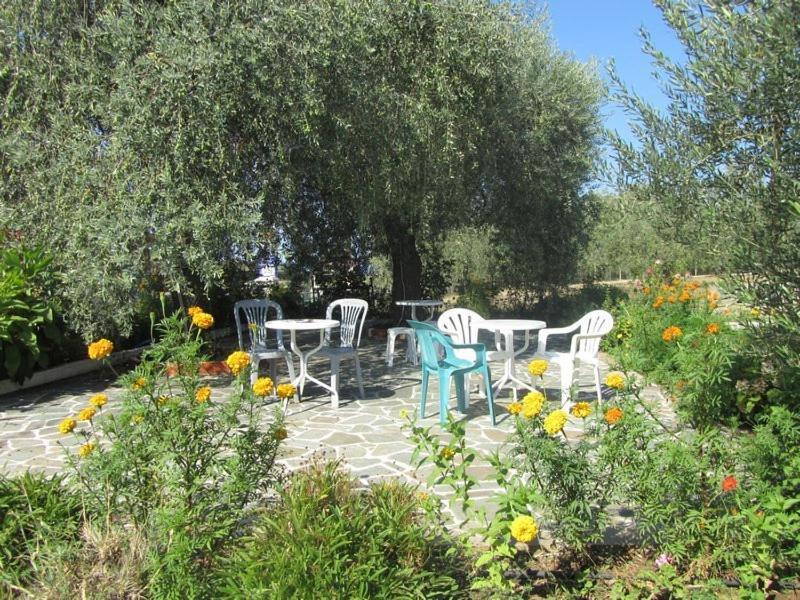 Asterias Studios Astris Extérieur photo